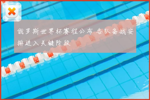 俄罗斯世界杯赛程公布 各队备战安排进入关键阶段