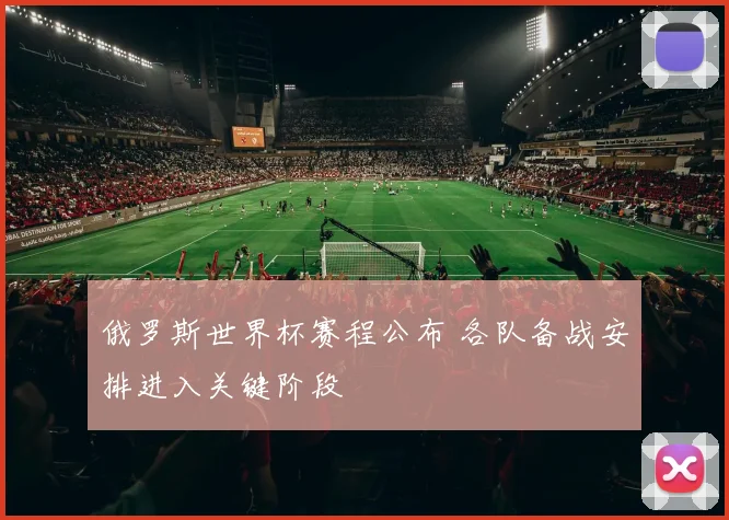 俄罗斯世界杯赛程公布 各队备战安排进入关键阶段