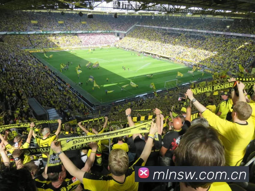 世界杯指定官网APP 体育赛事宣传图